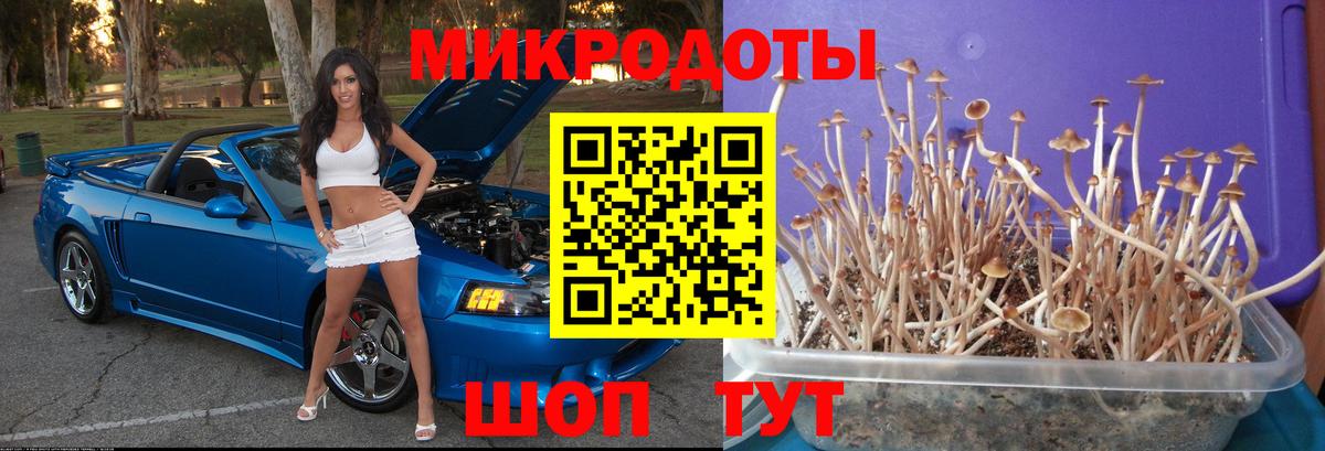 Галлюциногенные грибы GOLDEN TEACHER  Вход с VPN  Бугуруслан 